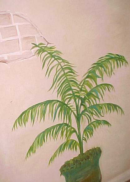 palm.jpg