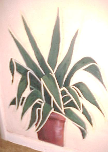 plant.jpg